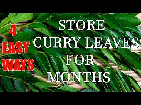 where to buy curry leaves